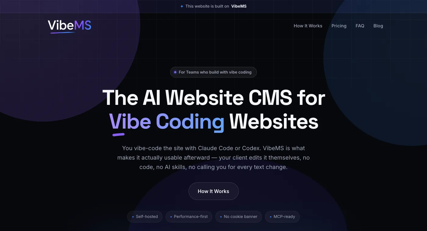 VibeMS Software Referenz - CMS aus eigener Entwicklung